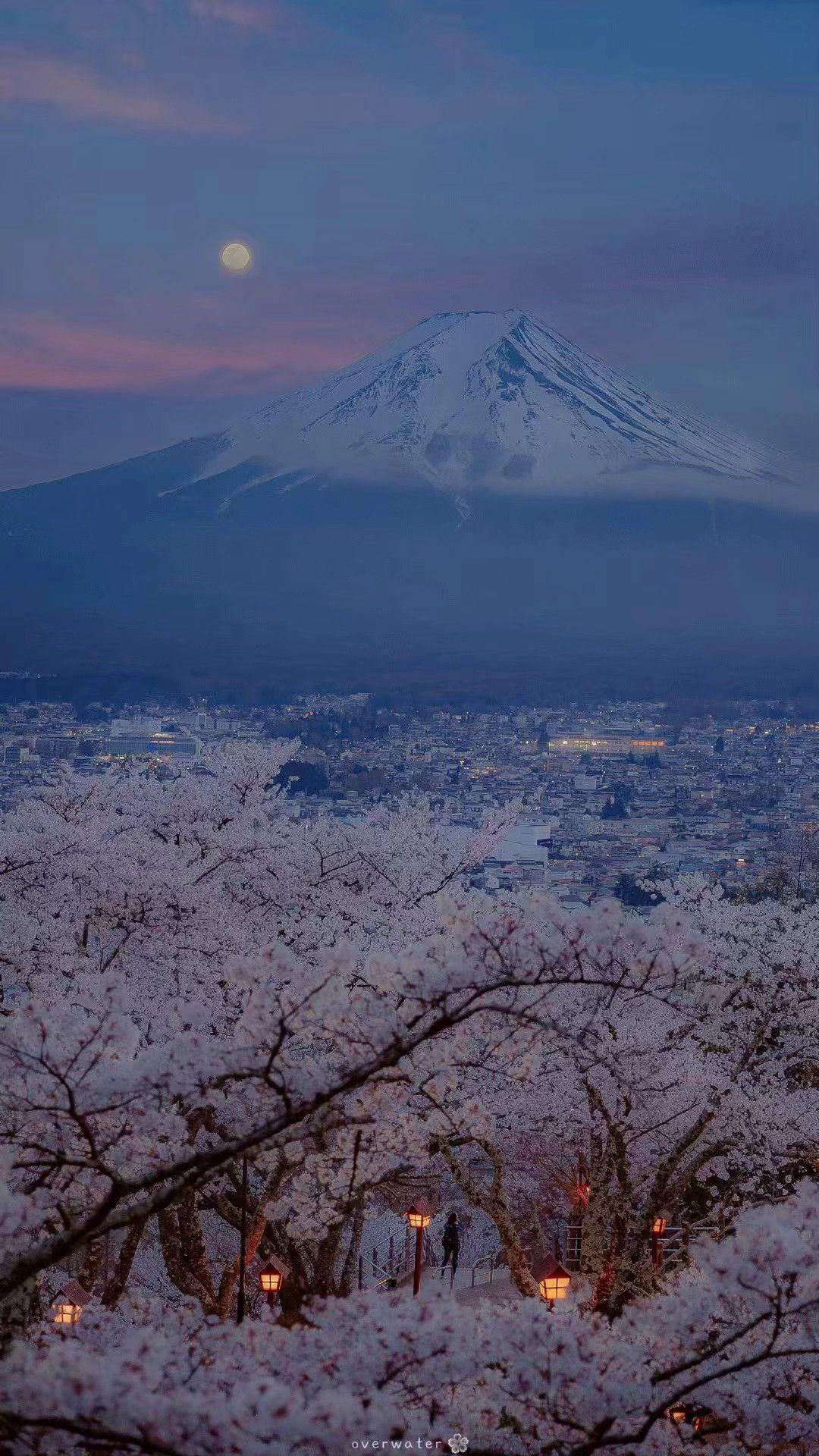 有哪些以日本的街道或者风景为背景的手机壁纸?