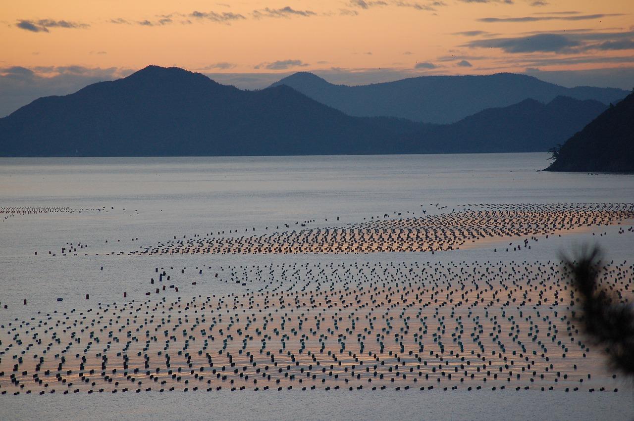 海南岛有多少年