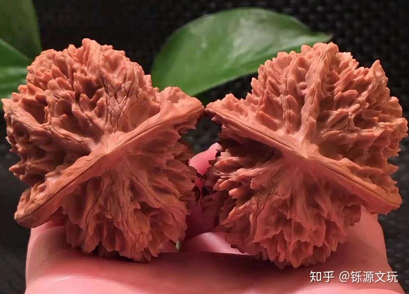 扎手的大花核桃让你知道什么叫做文玩核桃中的玫瑰
