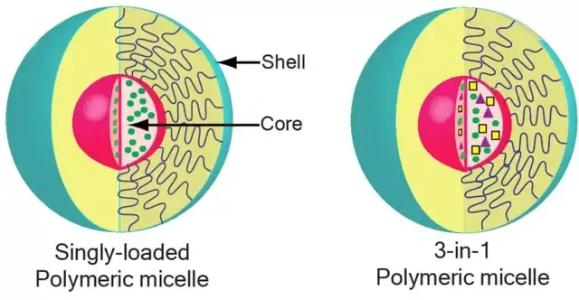 聚合物胶束:与脂质体结构 类似