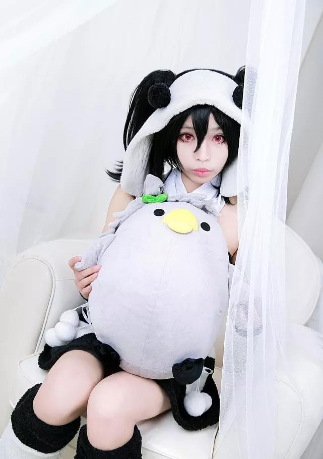 写真图片