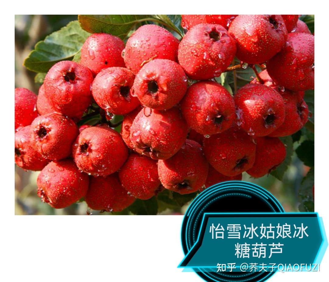 一个凄美的爱情故事