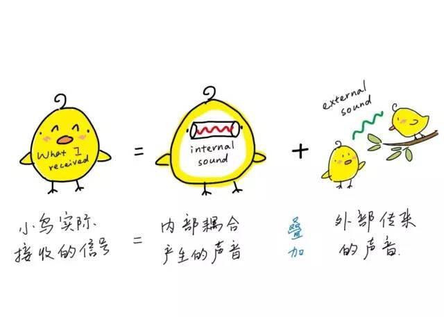 鸟有听力吗? 好像没见到过鸟耳朵 ? - 知乎
