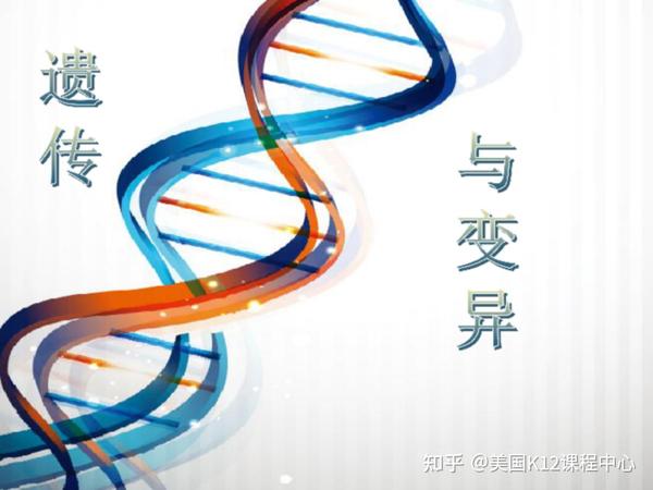 干货满满：A-level遗传变异核心知识点 - 知乎