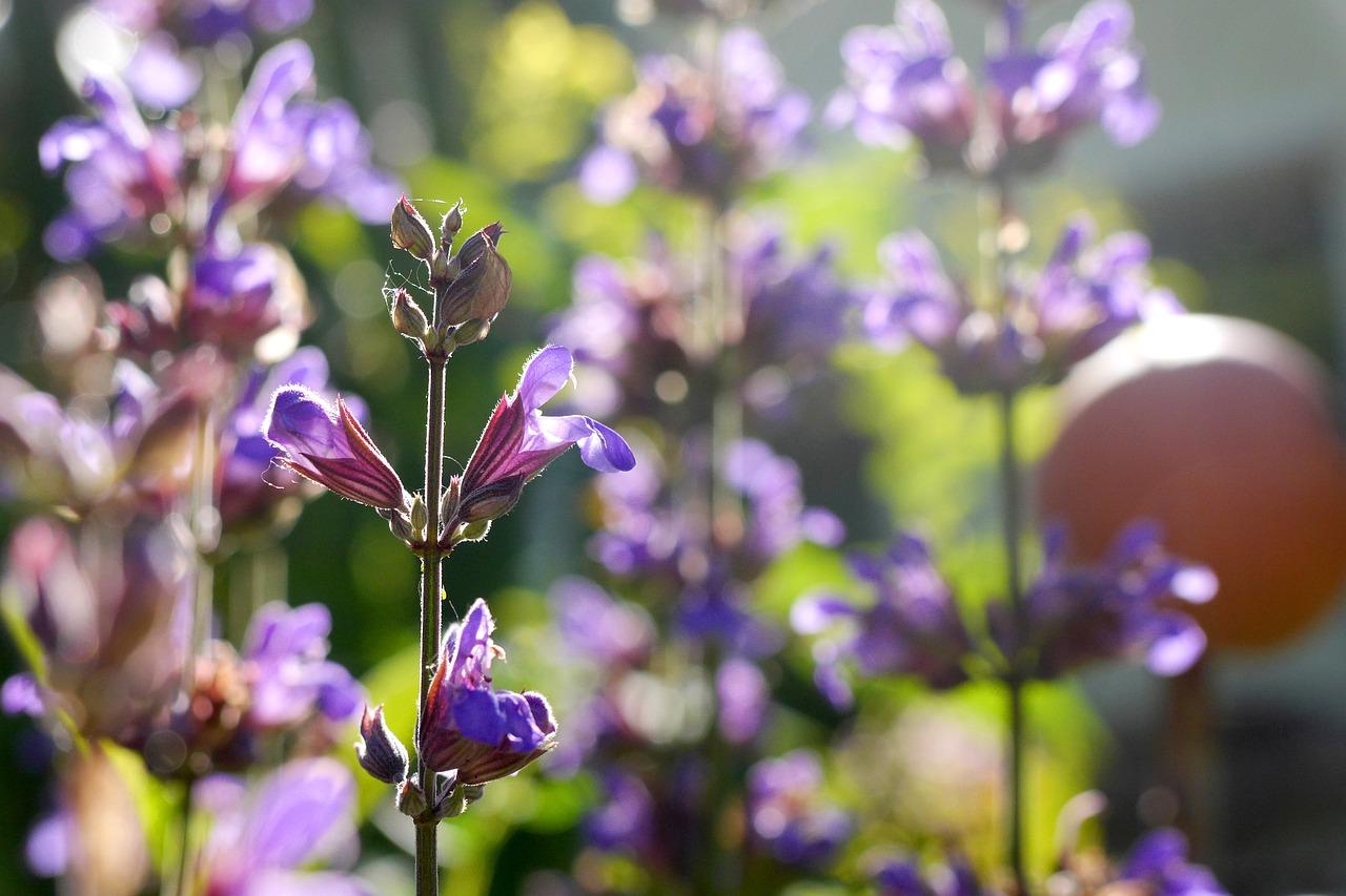 4. 周边配套完善