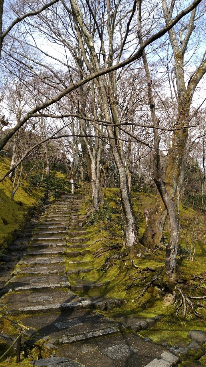 岚山孟苑多少钱