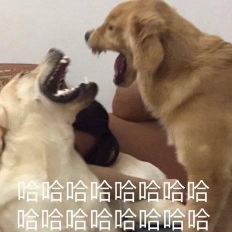 壮士暮年