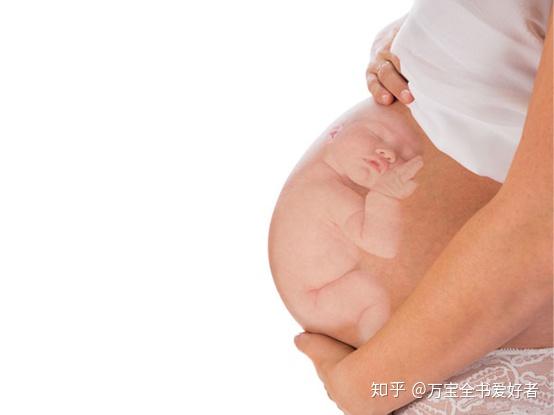婴儿什么时候开始补铁 v2-e4b4f79abfd1f2d4a0051af2ef317a78_r.jpg