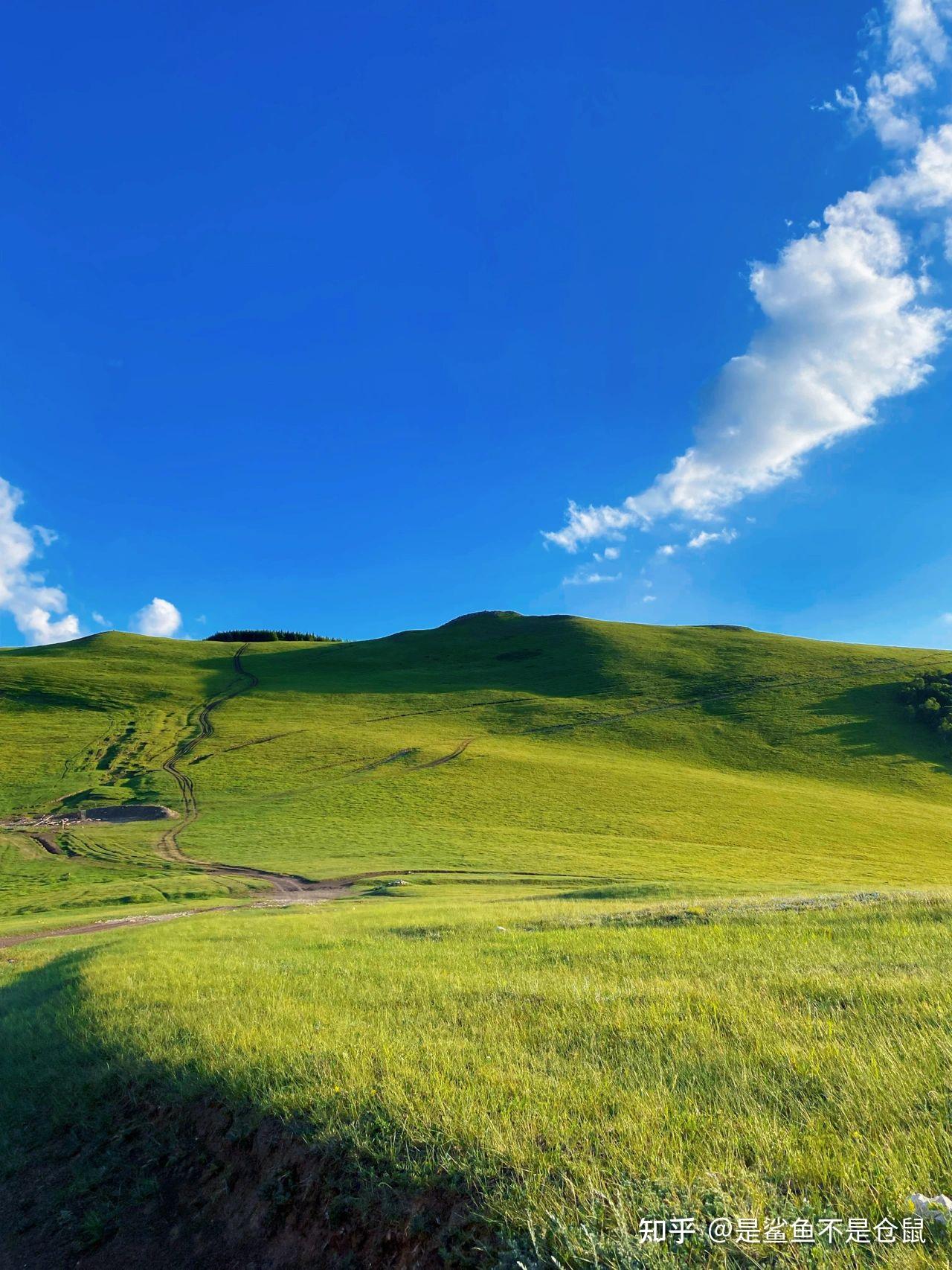 2023内蒙古旅游攻略，内蒙古呼和浩特自由行攻略心得分享——内蒙古必玩景点路线推荐+避坑指南！
