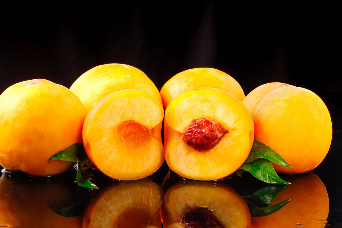 桃李甲天下果苗基地与你分享黄桃苗的种植及施肥技术 知乎