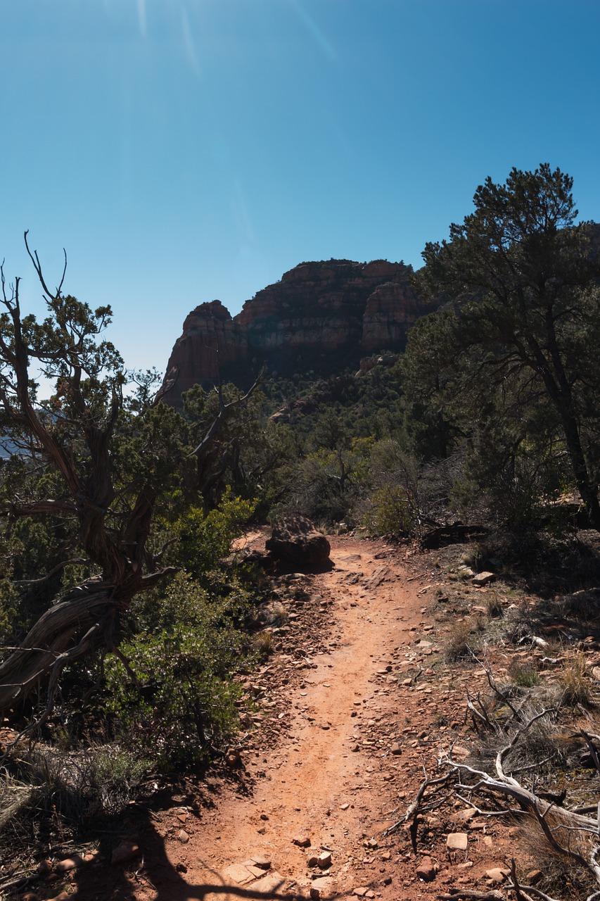 4. 阳光生活体验