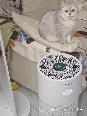 家有毛孩子,入手奥尔格林空气净化器,客服实在、猫咪不应激,太安心了!