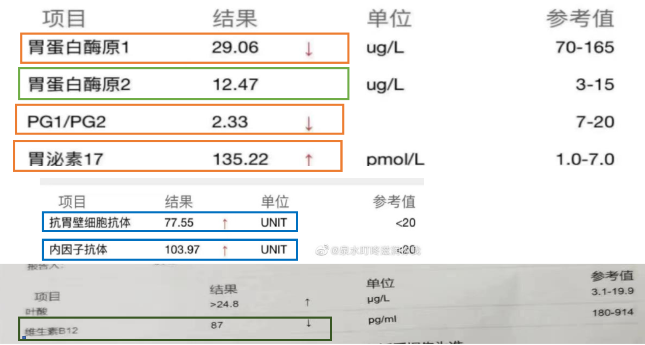 胃泌素三角图片