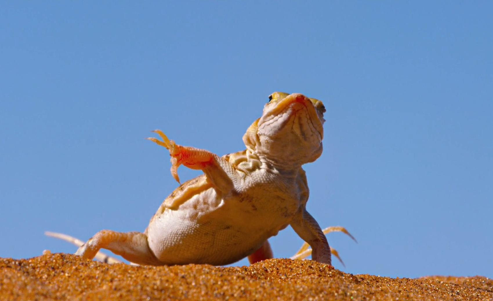 数字零售互联网沙漠里的绿洲