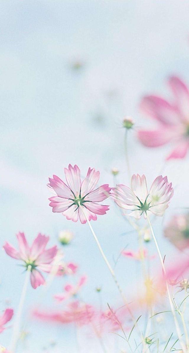 请问有没有好看的微信聊天背景图片