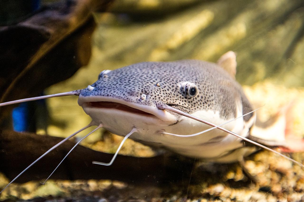 2. 海底世界全景览