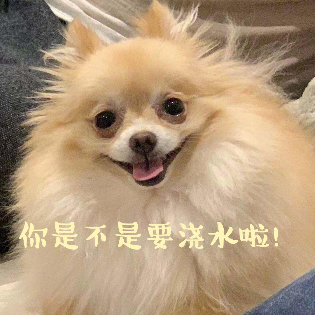 蚂蚁森林合种表情包 - 知乎