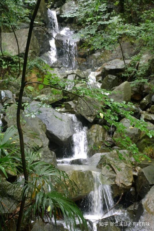 白露山撒欢儿之序曲 - 知乎