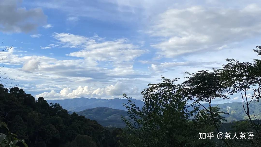 茶山最美是秋天