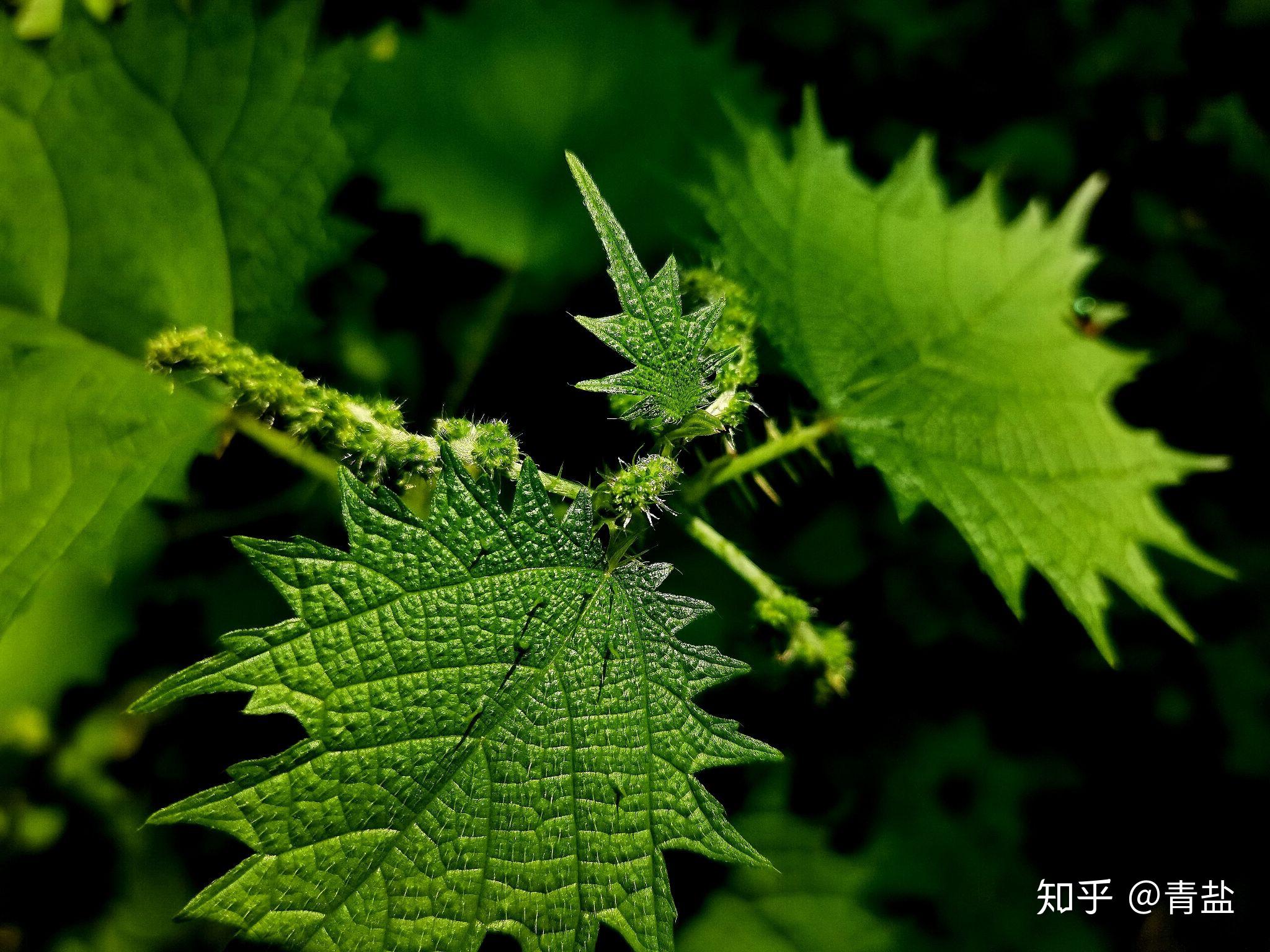 用眼看世界呀不用心
