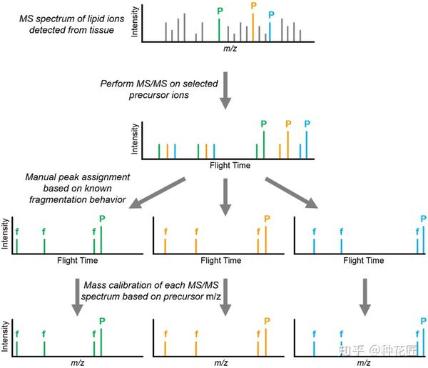 HuBMAP之MALDI成像质谱 - 知乎