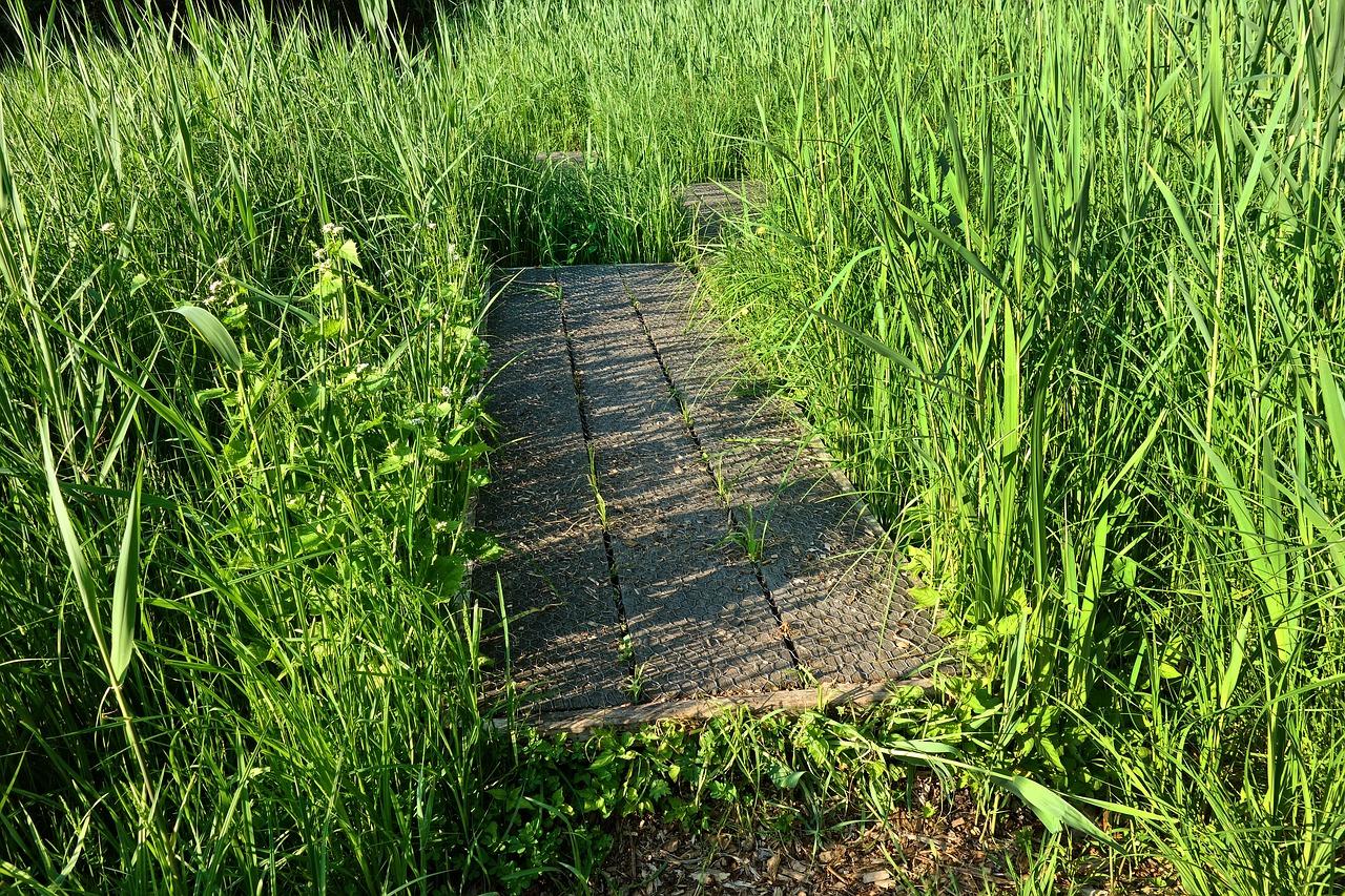 智能家居升级攻略