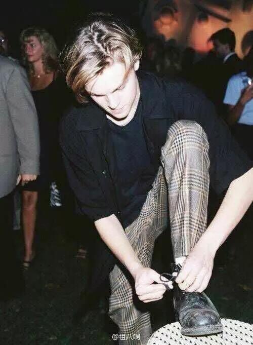 小李子有什么好的壁纸