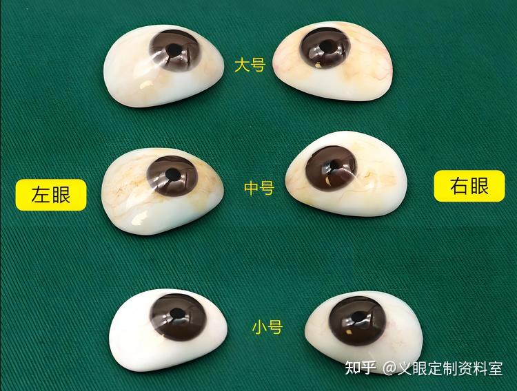 【必看】手工定制义眼片 vs 成品义眼片：哪一种更适合你？ - 知乎