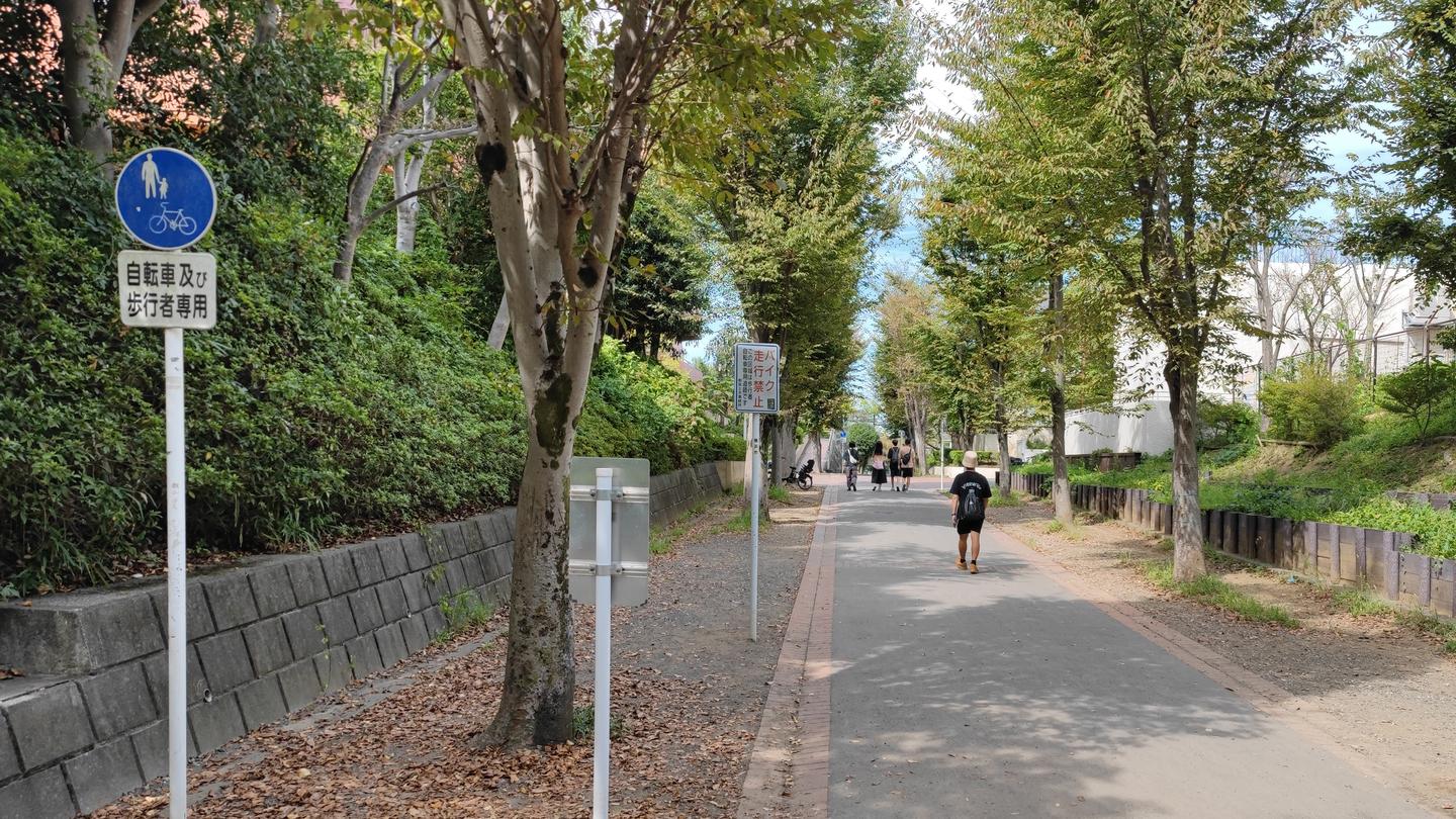汽车时代日本如何通过“步行专用路”创造高质量的TOD步行社区？横滨仲町台站与中心北站的经验与启示 - 知乎