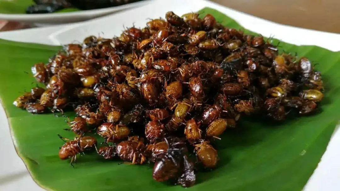 胆小慎入令人闻风丧胆的云南美食你能接受吗