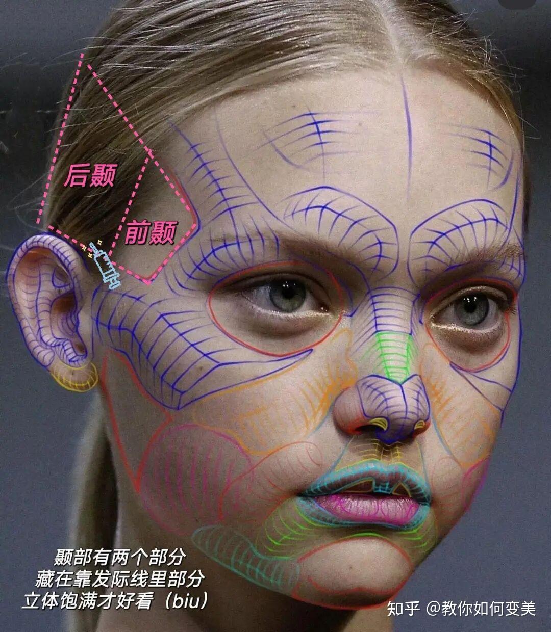 骨相大美人的共性:太阳穴微凹~ - 知乎