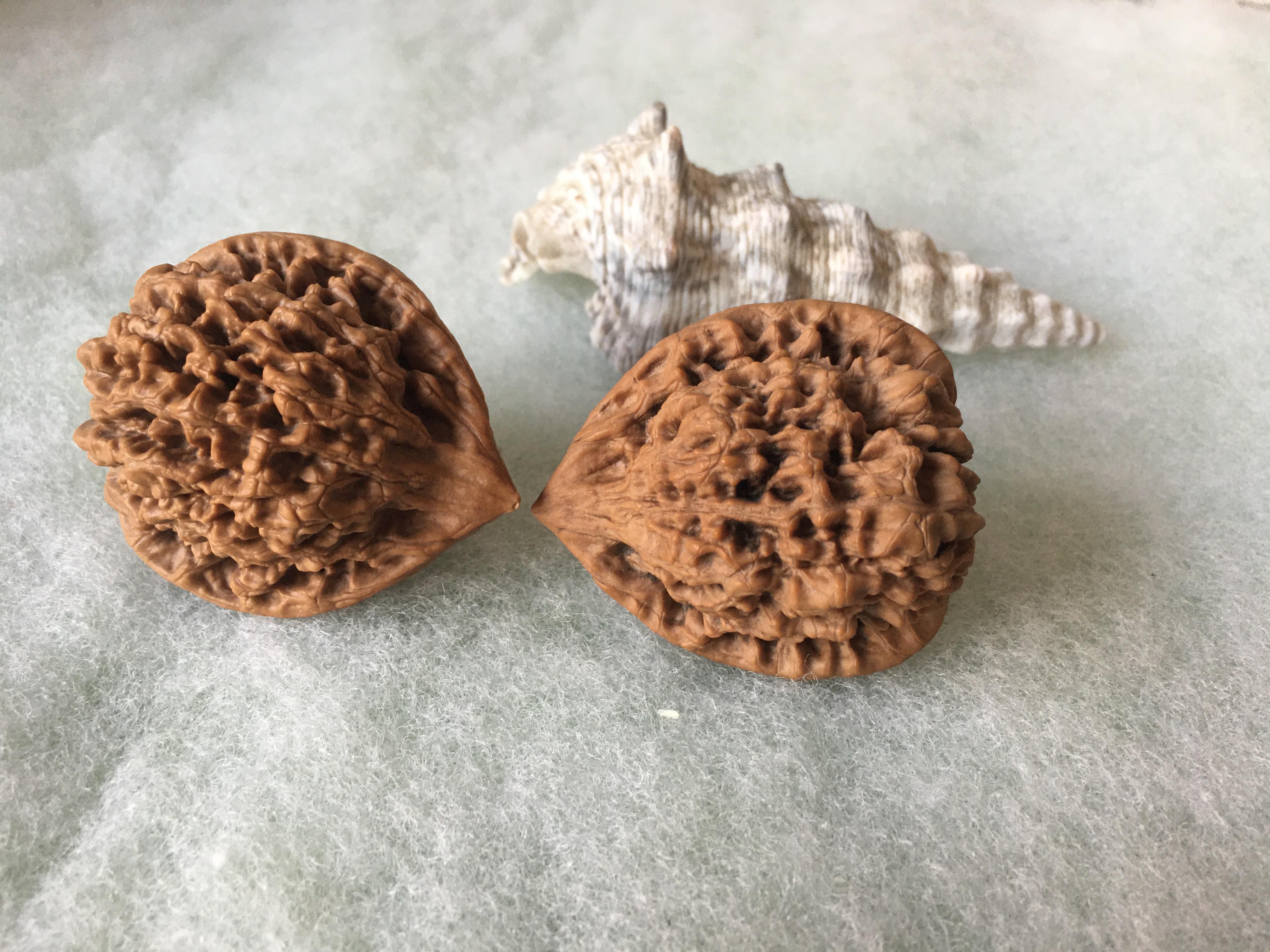 风氏文玩收藏馆:0091 麻核桃 王勇官帽