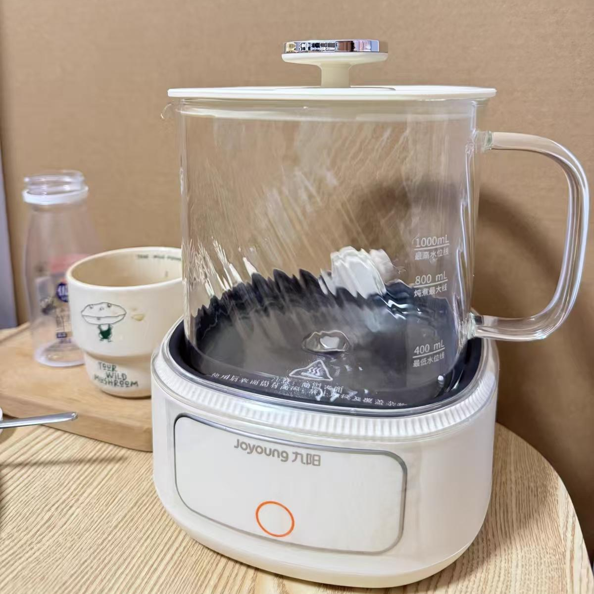 2026年养生壶哪个品牌值得推荐?