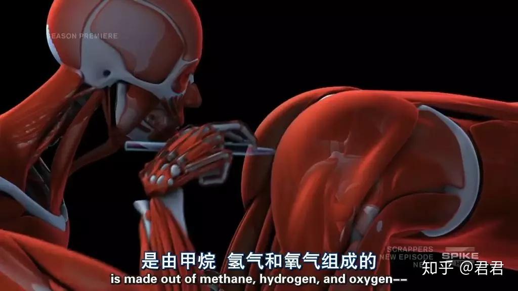 人类的1000种死法，真实版死神来了！ - 知乎