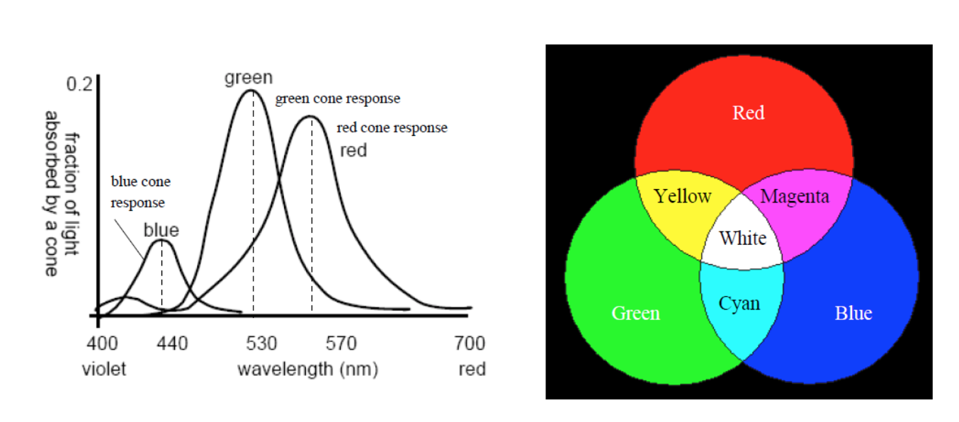 前端学习计算机图形学(上)