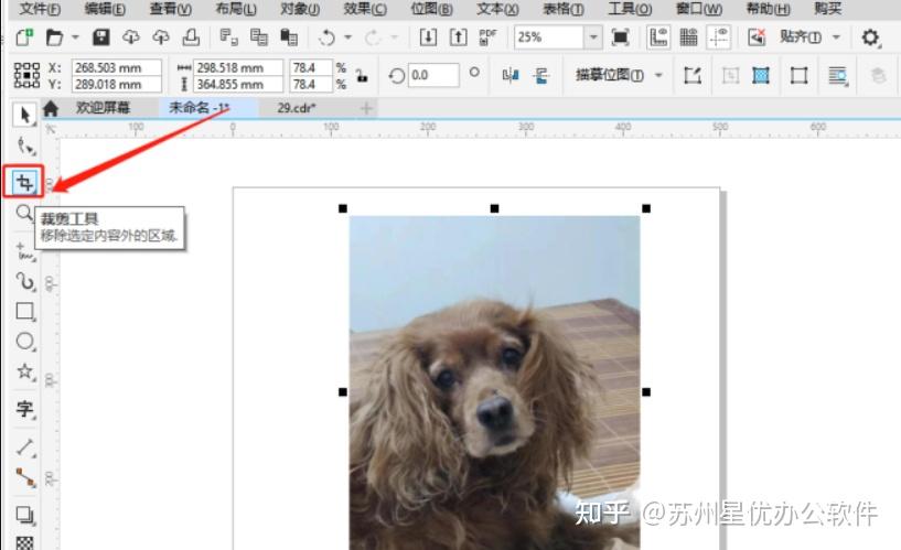 图片怎么裁剪一部分?超详细的五种裁剪图片方法! - 知乎