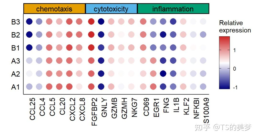 nature级别图表：一个注释气泡热图函数（适用于单细胞及普通数据） - 知乎