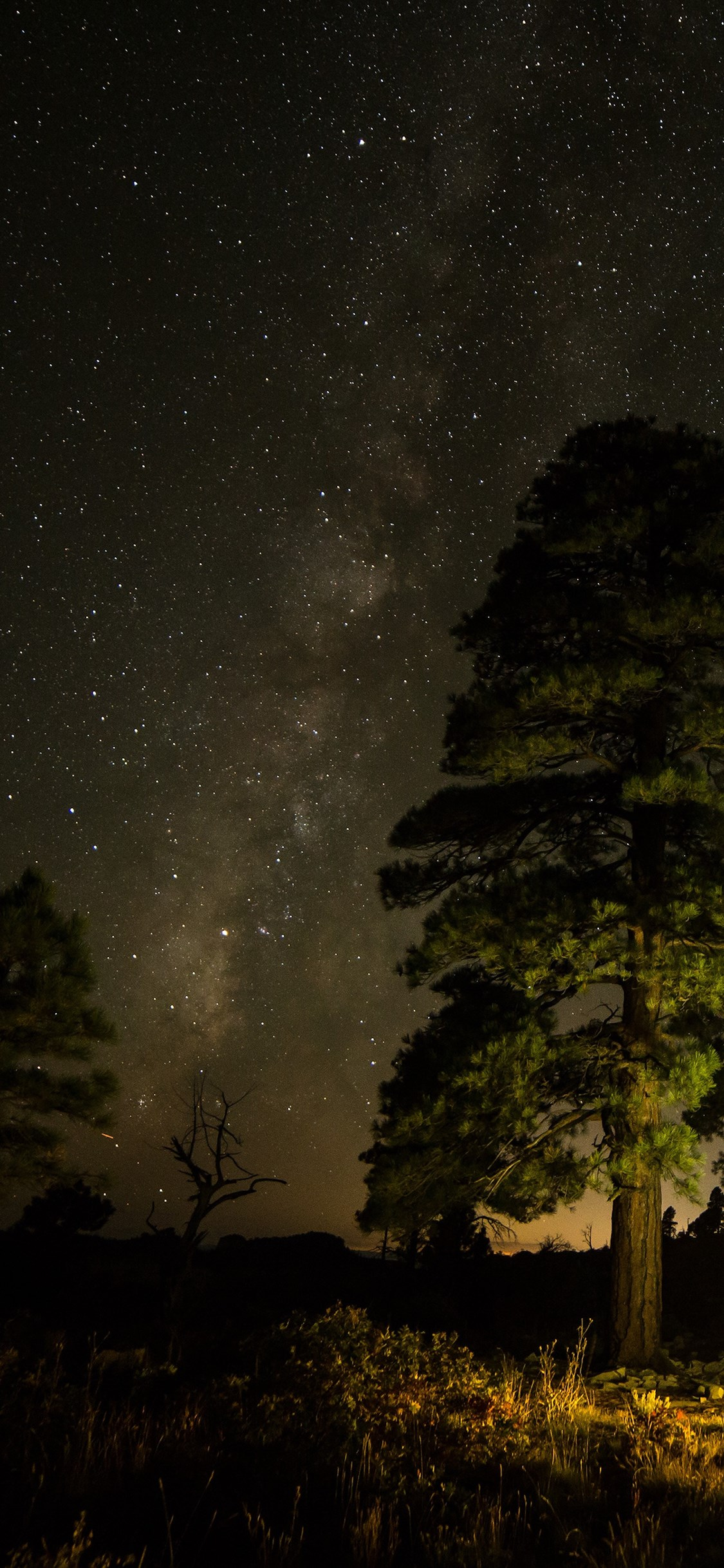 有哪些好看的iphone实况壁纸呀