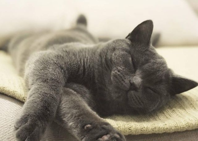 v2-e55b21b3dbd90c10df0fb0c30b870468_1440w.jpg?source=172ae18b