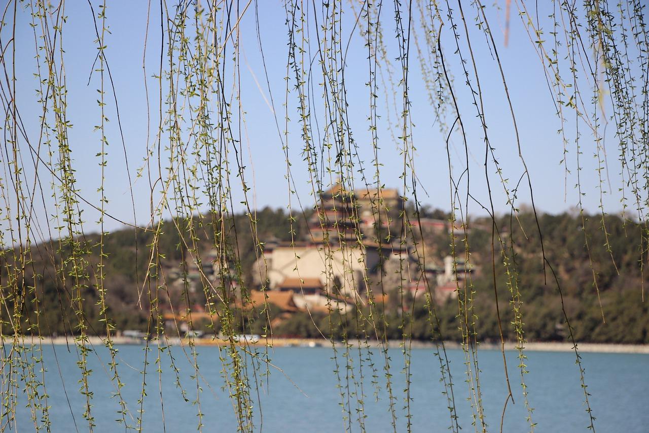 4. 密云相亲联盟