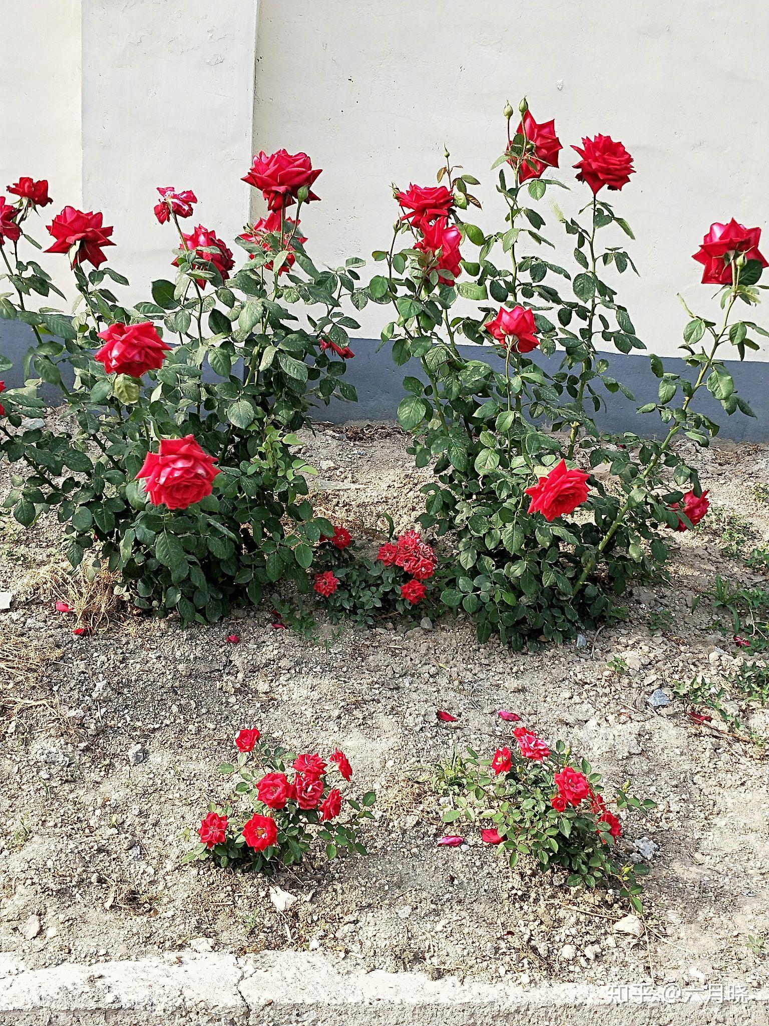 走在乡间的小路上