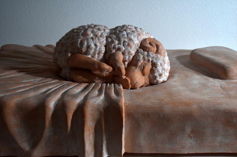 国立大学法人三重大学 知乎