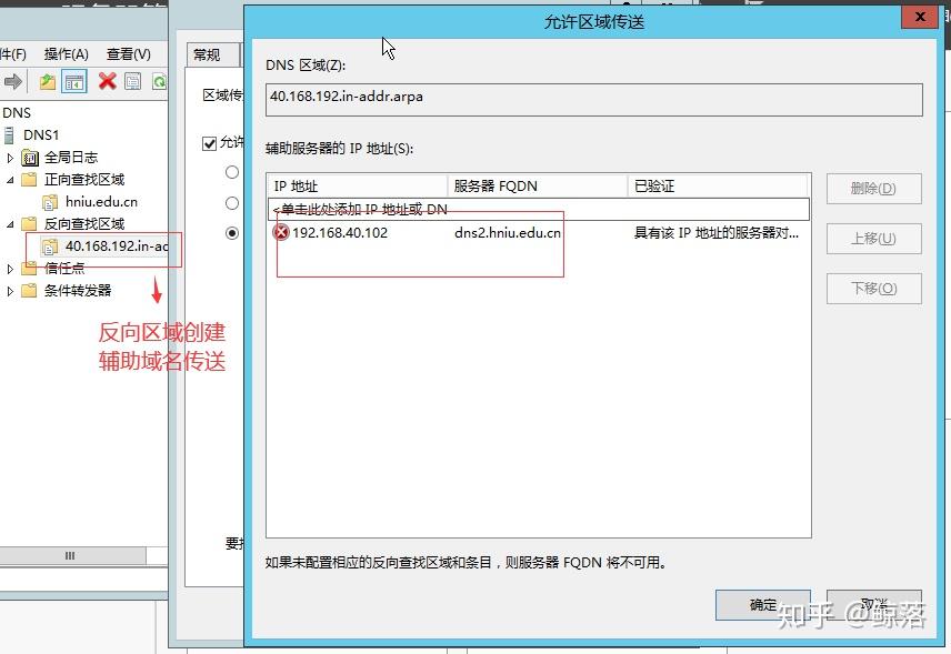 Windows server DNS服务器配置与管理