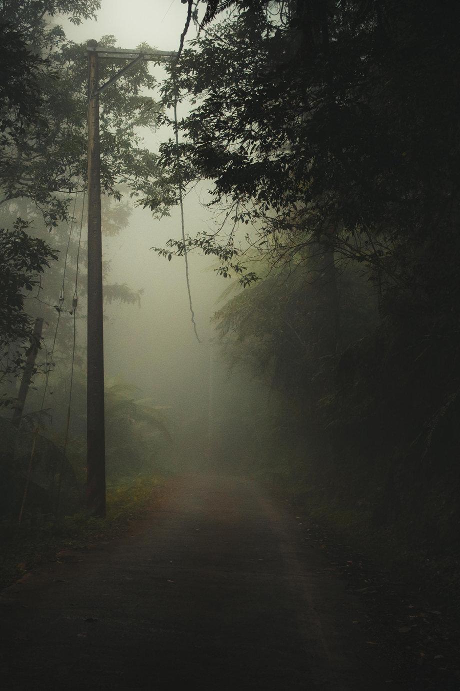 秘境幽暗森林图片