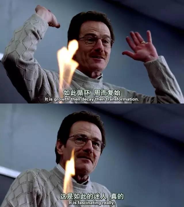 如何评价美剧绝命毒师