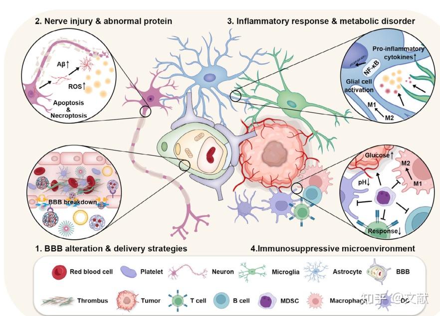 深度关注丨统筹全局开新局