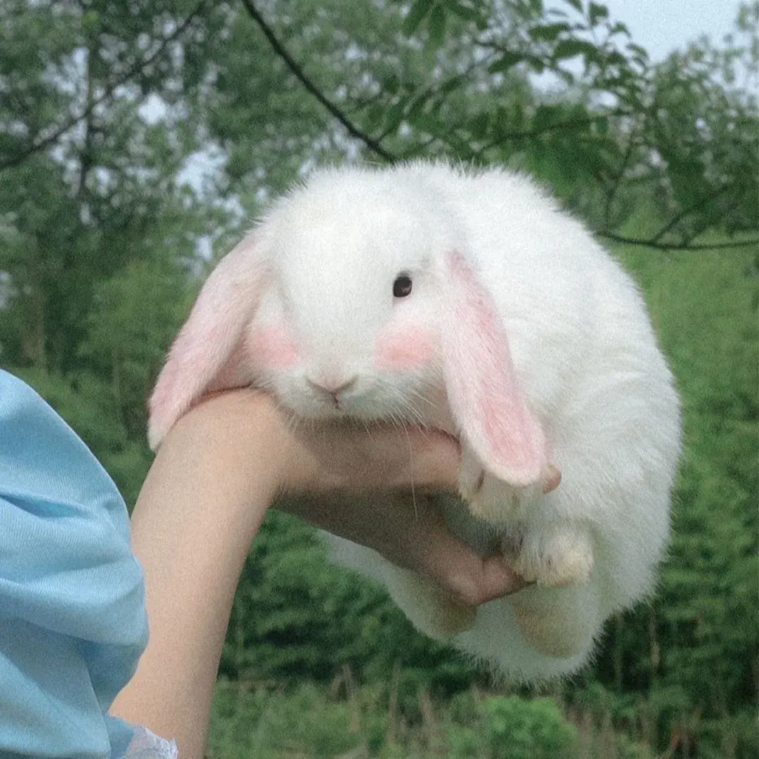 151张超好看的情侣头像-好看情侣的壁纸高清