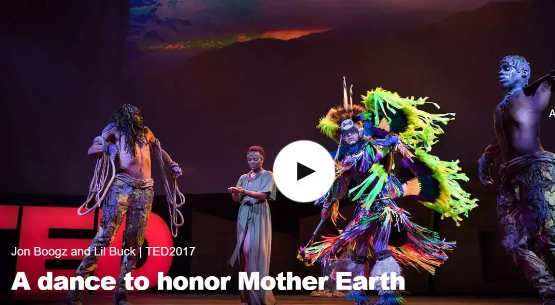 这10位演讲者出场次数最多:hans rosling是来自瑞士的健康领域的专家