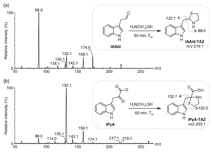 吲哚-3-丙酮酸,吲哚乙醛肟极不稳定,同时作者还测试了不同