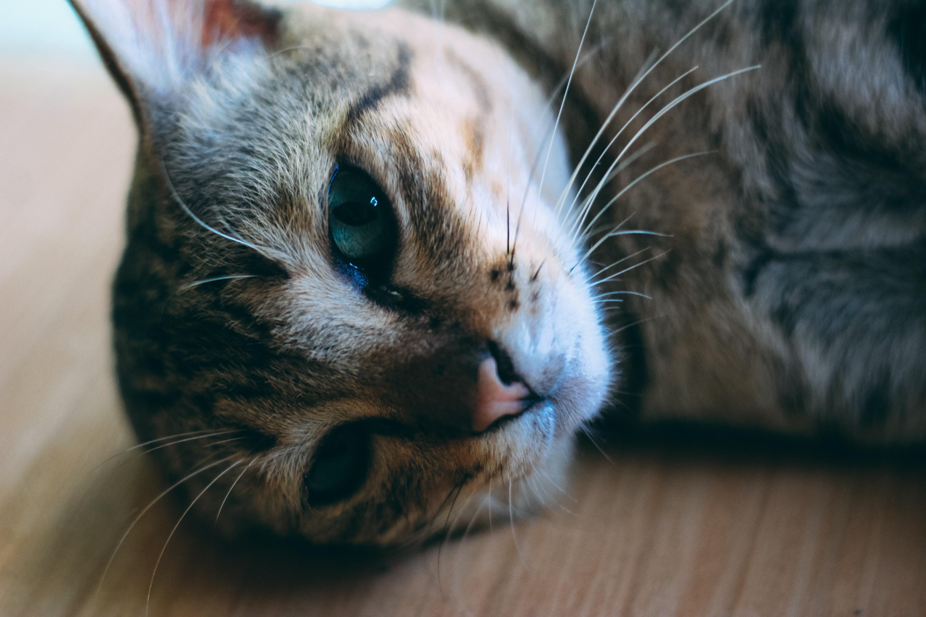 有什么干净清爽的壁纸